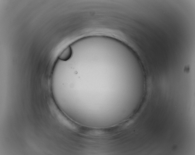 X0000114681517200910211020