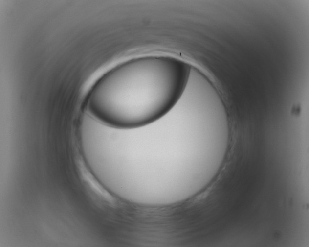 X0000114681518200910211020