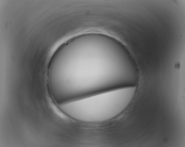 X0000114681519200910211020