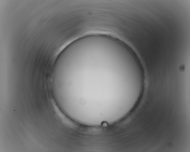 X0000114681521200910211020