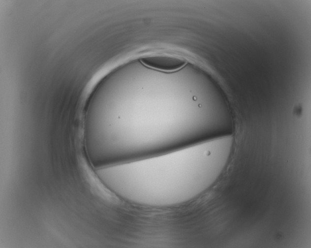 X0000114681522200910211020