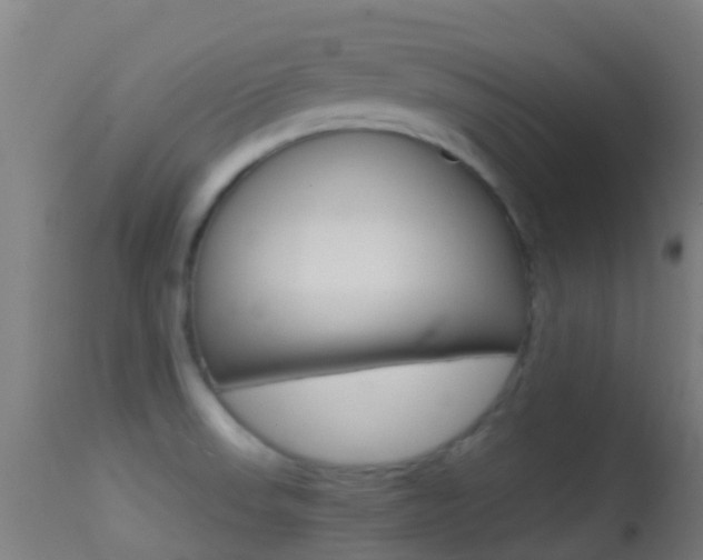 X0000114681523200910211020
