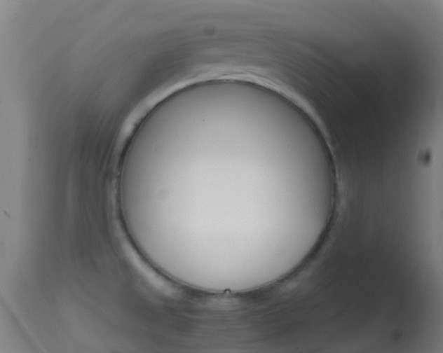 X0000114681525200910211020
