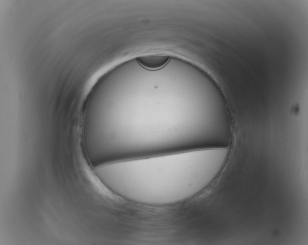X0000114681526200910211020