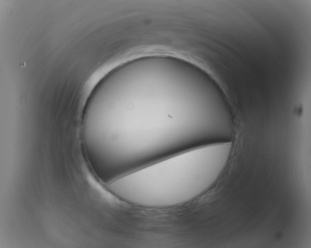 X0000114681527200910211020