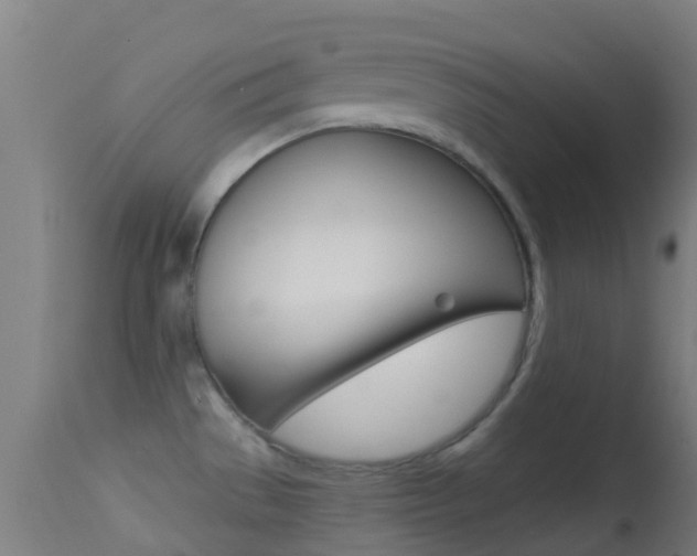 X0000114681529200910211020