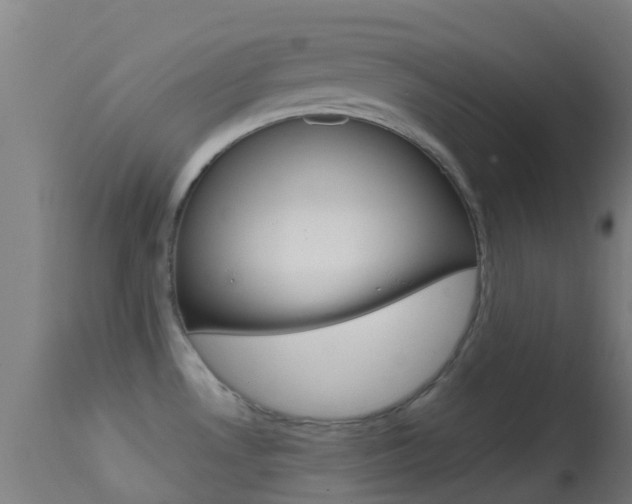 X0000114681530200910211020