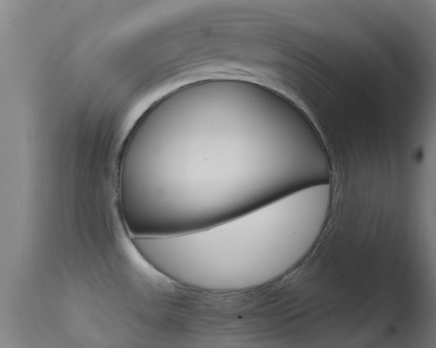 X0000114681531200910211020
