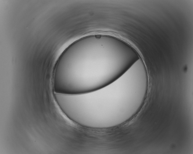 X0000114681533200910211020