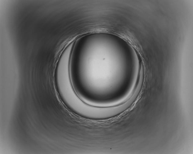 X0000114680001200910211219