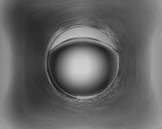 X0000114680003200910211219