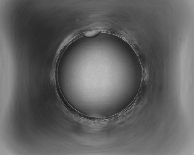 X0000114680004200910211219