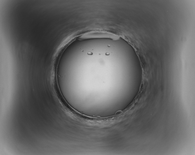 X0000114680005200910211219