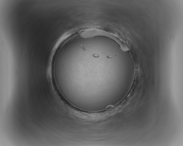 X0000114680006200910211219