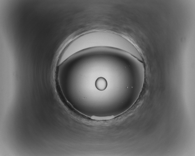 X0000114680007200910211219