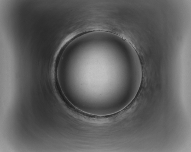 X0000114680008200910211219