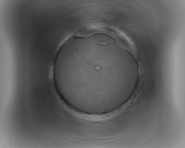 X0000114680010200910211219