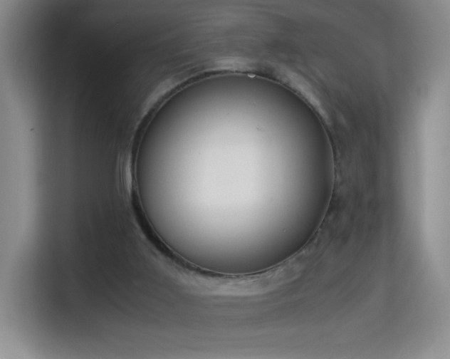 X0000114680011200910211219