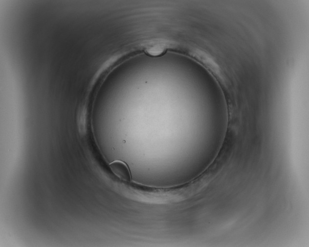X0000114680012200910211219