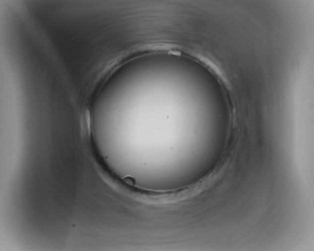 X0000114680013200910211219