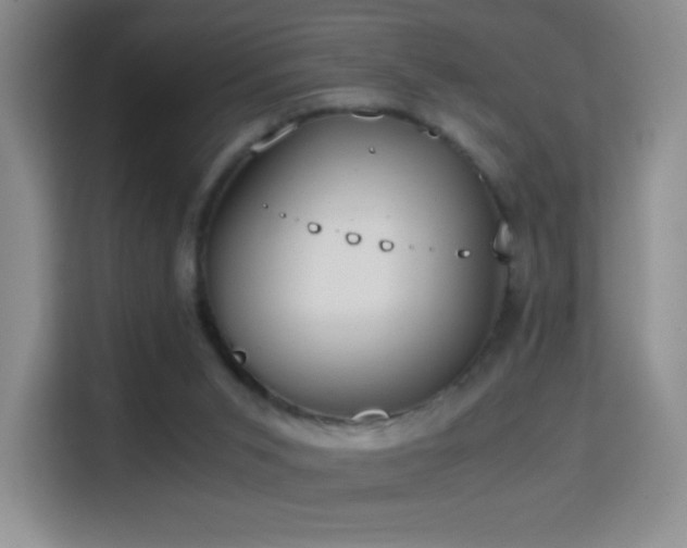 X0000114680015200910211219
