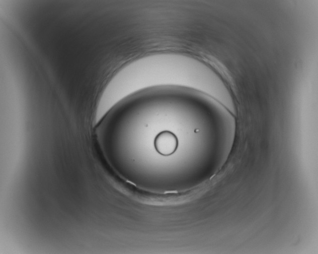 X0000114680017200910211219
