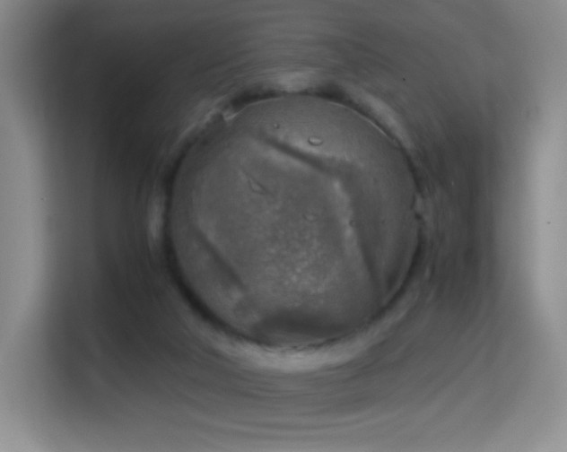 X0000114680018200910211219