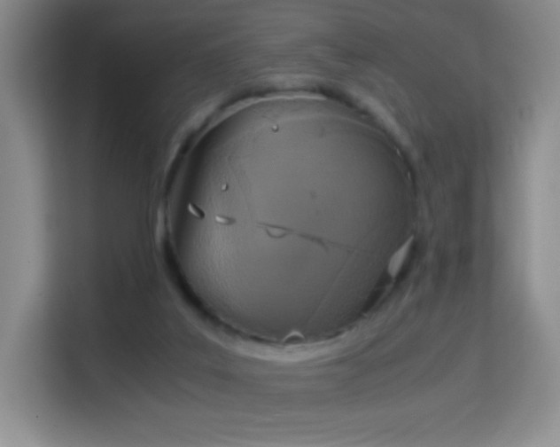 X0000114680019200910211219