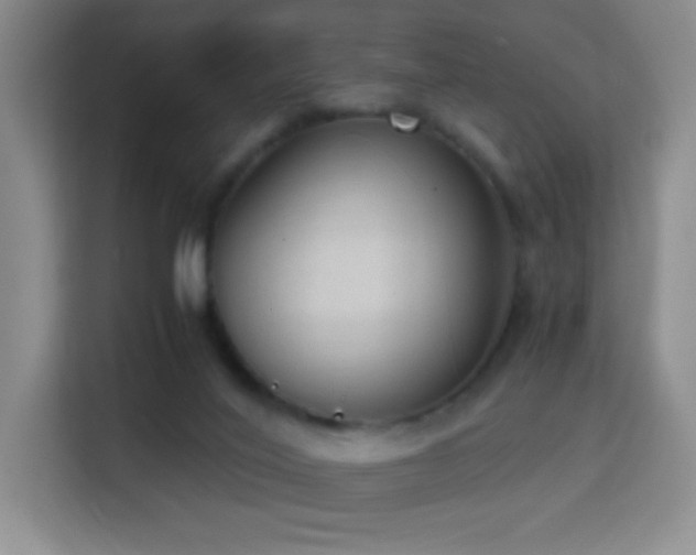 X0000114680020200910211219