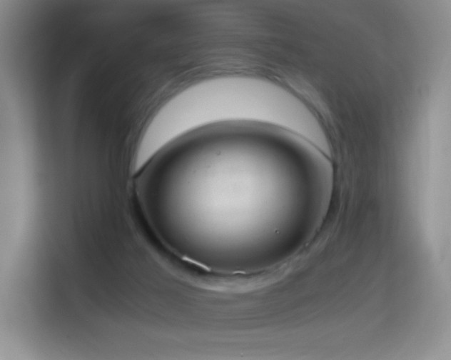 X0000114680021200910211219