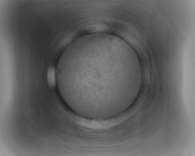 X0000114680022200910211219