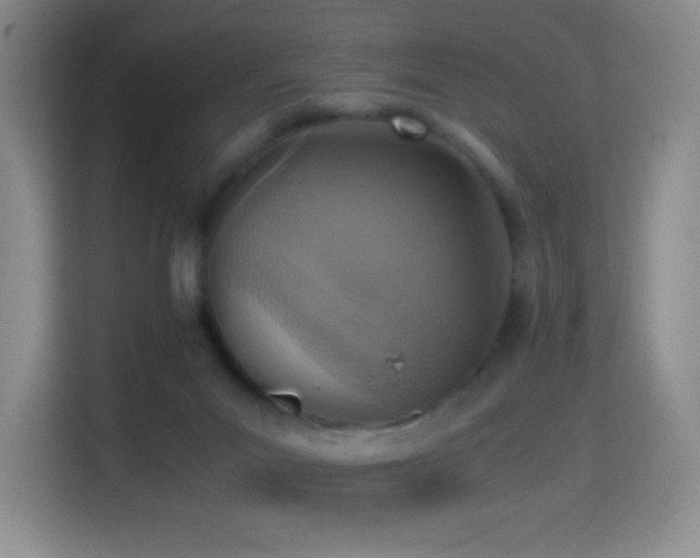 X0000114680023200910211219