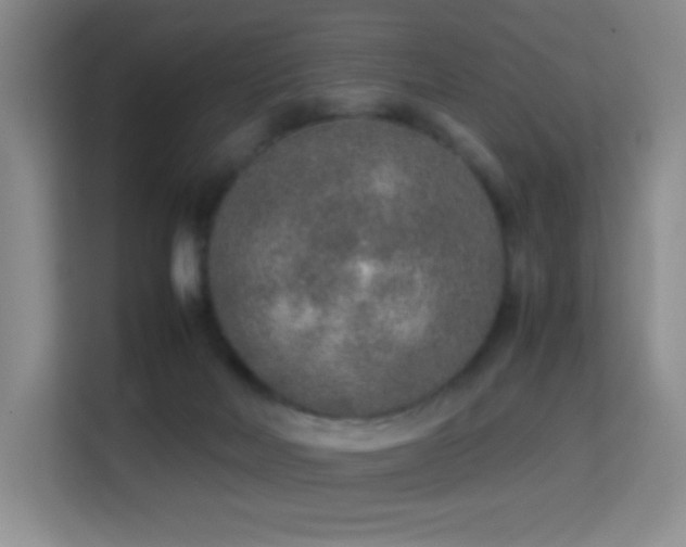 X0000114680026200910211219