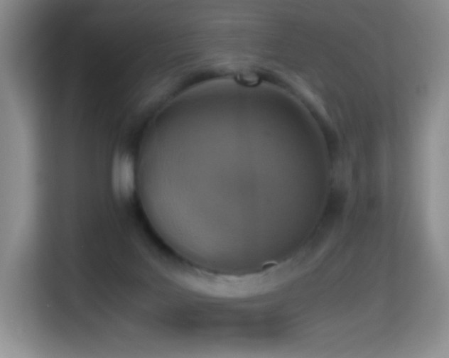 X0000114680027200910211219