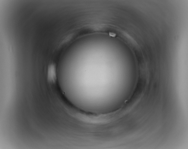 X0000114680028200910211219
