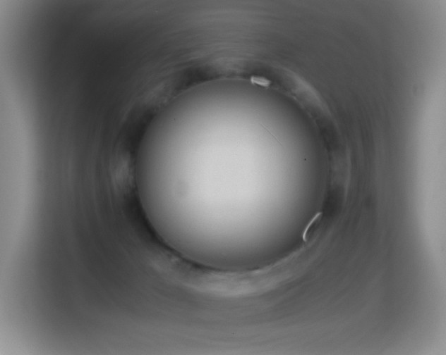 X0000114680029200910211219