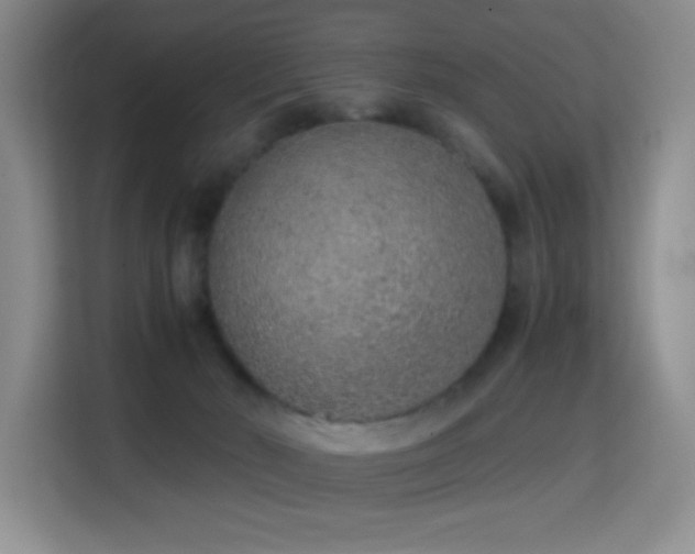 X0000114680030200910211219