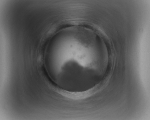 X0000114680031200910211219