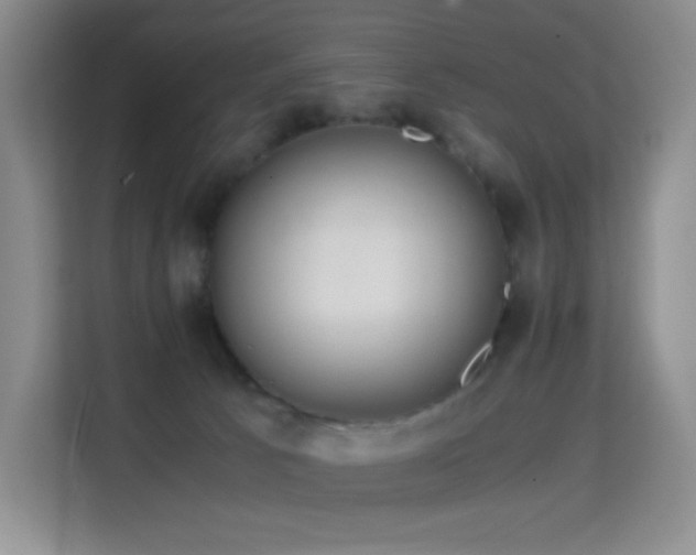 X0000114680033200910211219