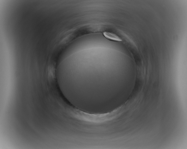 X0000114680035200910211219