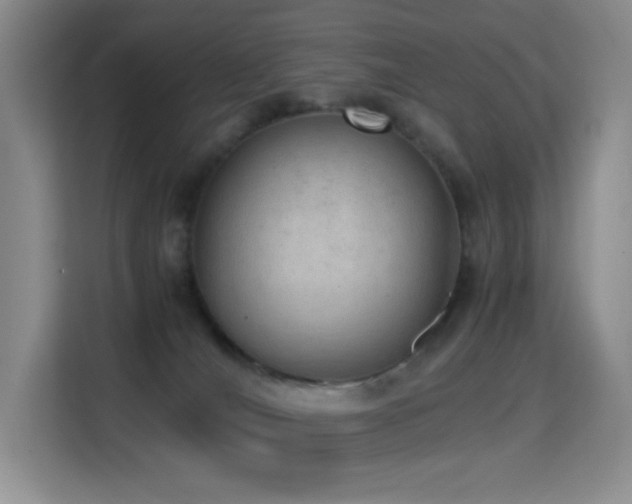 X0000114680036200910211219