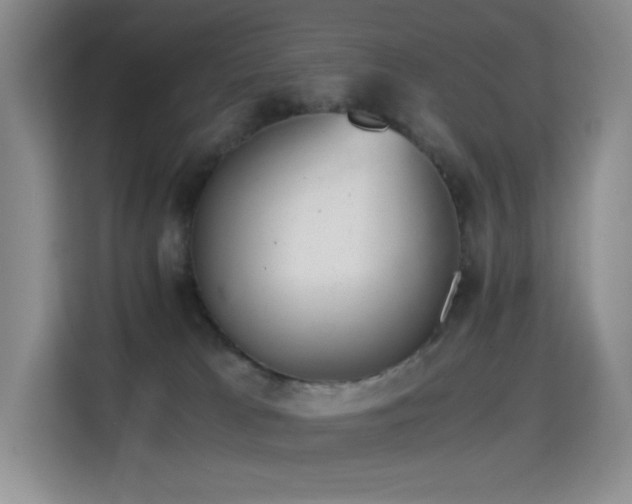 X0000114680037200910211219