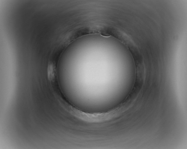 X0000114680038200910211219