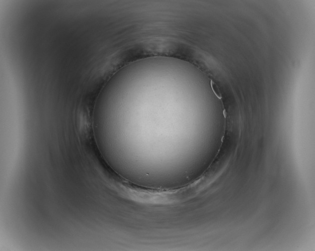 X0000114680040200910211219