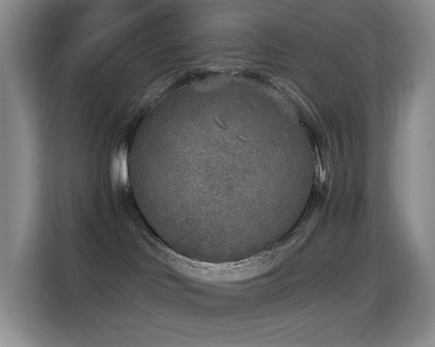 X0000114680046200910211219