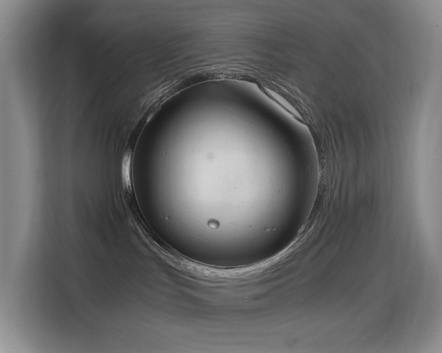 X0000114680047200910211219