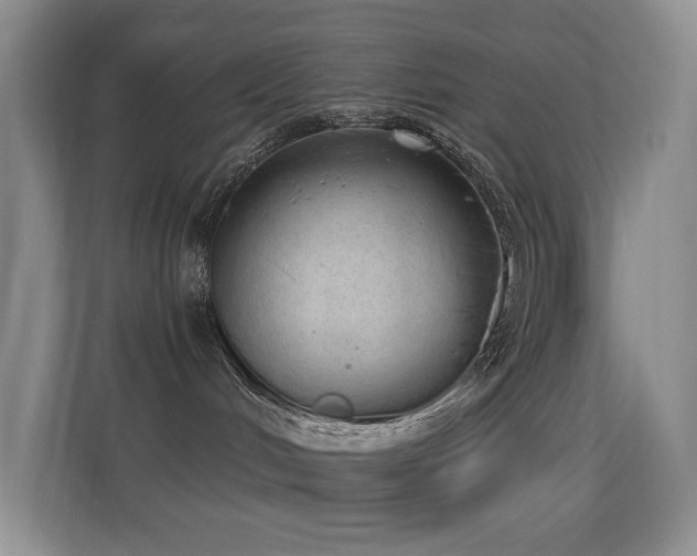 X0000114680048200910211219