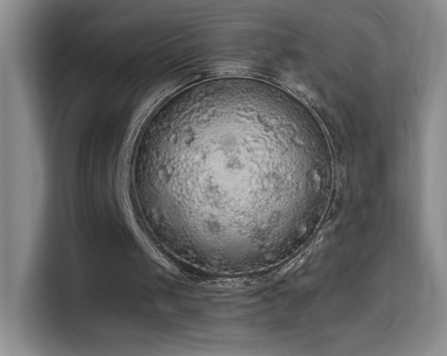 X0000114680049200910211218