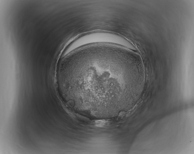 X0000114680050200910211218