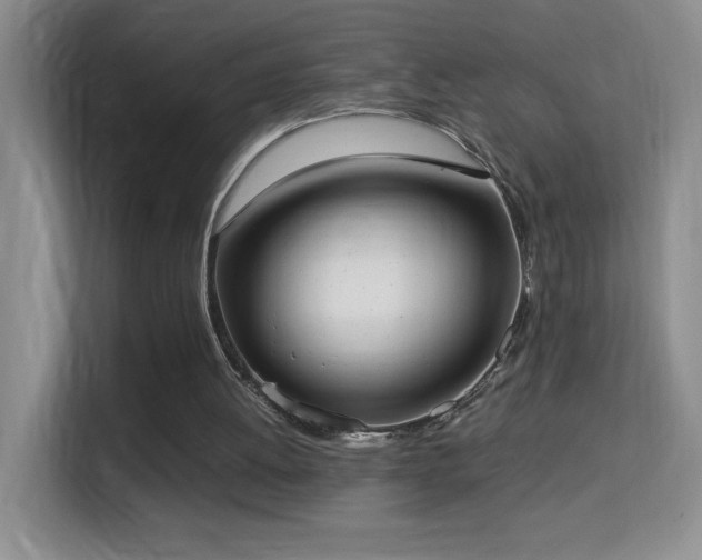 X0000114680052200910211218